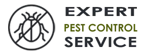 Expert Exterminator Co  Hollywood FL